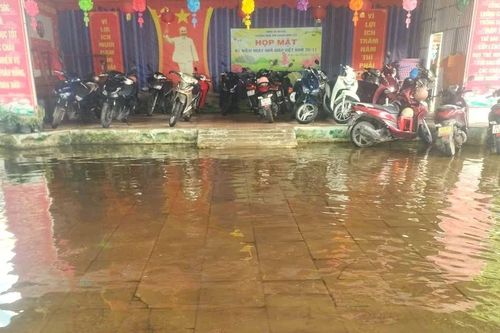 Học sinh một trường mầm non ở Cà Mau thường xuyên 'chạy lớp' vì ngập nước