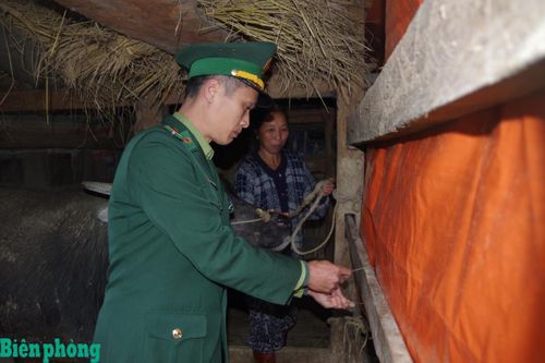 Chủ động phòng, chống rét đậm, rét hại ở xã biên giới Xuân Trường