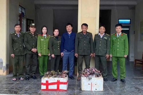 Xử lý hàng loạt vụ săn bắt, buôn bán động vật hoang dã
