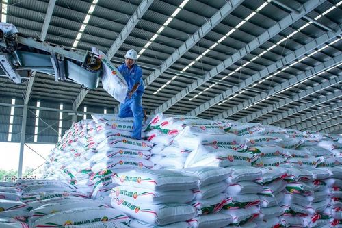 Loạt sáng chế giúp Đạm Cà Mau tiết kiệm hơn 1.500 tỷ đồng, giảm mạnh phát thải CO₂