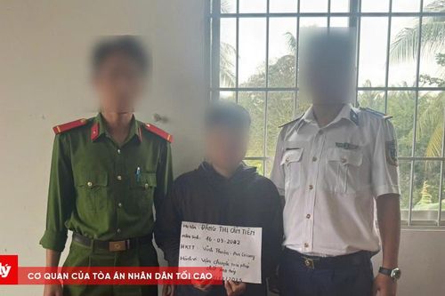 BTL Vùng Cảnh sát biển 4 bắt giữ đối tượng vận chuyển trái phép chất ma túy
