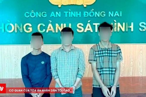 Bắt 3 đối tượng truy nã, triệt phá sới đá gà trong ngày ra quân cao điểm