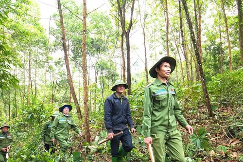 Dịch vụ môi trường rừng góp phần xây dựng kinh tế xanh miền Tây Nghệ An