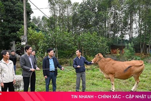 Hỗ trợ 230 triệu đồng giúp người nghèo Hương Đô phát triển sinh kế