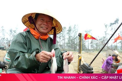 Cá cháo đầu mùa được giá, ngư dân phấn khởi đánh bắt
