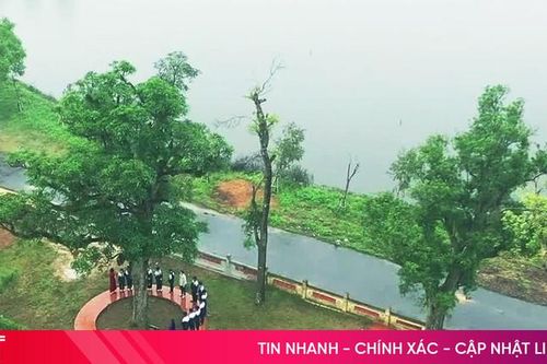 Chuyện những cây cổ thụ trong quần thể di tích quốc gia đặc biệt