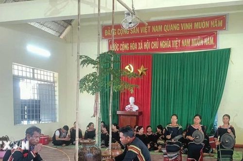 Đắk Lắk: Tái hiện nghi lễ quan trọng của đồng bào M'nông trong đời sống