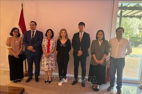 Việt Nam - Paraguay mở rộng triển vọng hợp tác kinh tế, thương mại và văn hóa