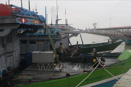 Ngư dân Huế 'mòn mỏi' chờ nhận tiền hỗ trợ nhiên liệu