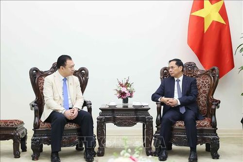 Đề nghị Tập đoàn Phongsupthavy (Lào) nghiên cứu, mở rộng hợp tác lĩnh vực năng lượng