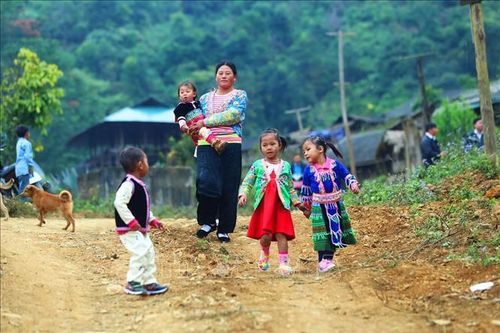 Dự án 'Nuôi em' không thuộc Trung tâm Tình nguyện Quốc gia