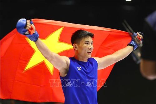 Việt Nam là thành viên sáng lập Hiệp hội Võ thuật tổng hợp Đông Nam Á