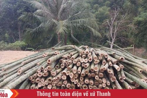 Trên đất Thiên Phủ ( Bài 1): Đất khó