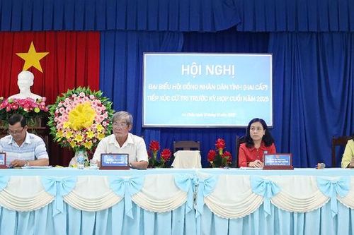 Phó Chủ tịch HĐND tỉnh An Giang Đinh Thị Việt Huỳnh tiếp xúc cử tri xã An Châu