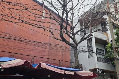 Cây khô, gãy đổ nhưng chậm xử lý