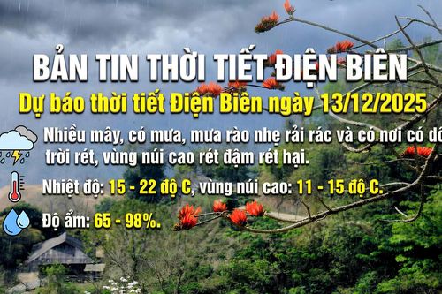 Bản tin Dự báo thời tiết ngày 13/12/2025