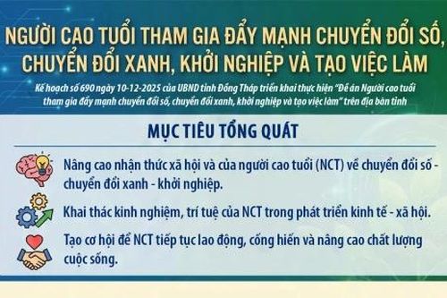 Người cao tuổi tham gia đẩy mạnh chuyển đổi số, chuyển đổi xanh, khởi nghiệp và tạo việc làm