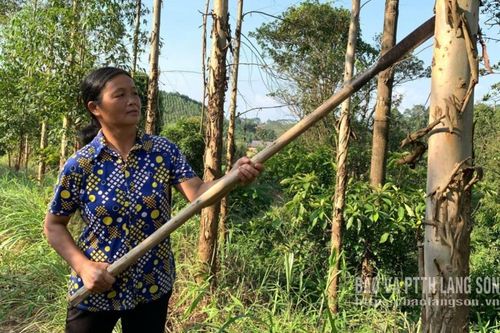 Thoát nghèo nhờ nghị lực