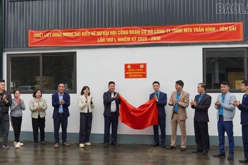 Gắn biển công trình chào mừng Đại hội Công đoàn tỉnh