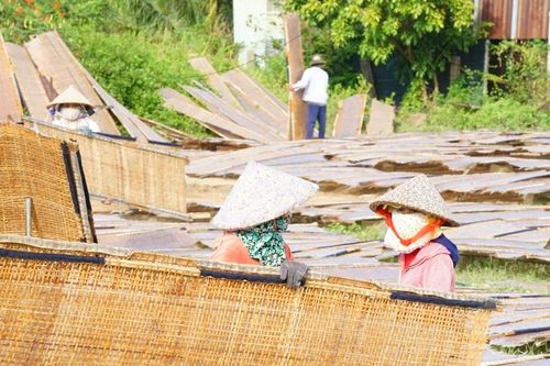 Sức sống mới nơi vùng lũ đi qua