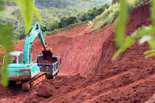 San gạt đất rầm rộ, rừng thông ở xã Bảo Lâm 4 bị đe dọa