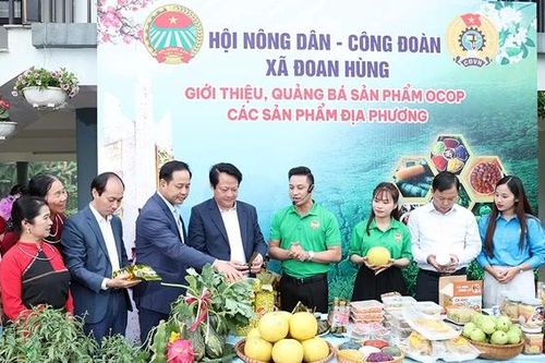 Xã Đoan Hùng phát động Tháng Dân vận năm 2025
