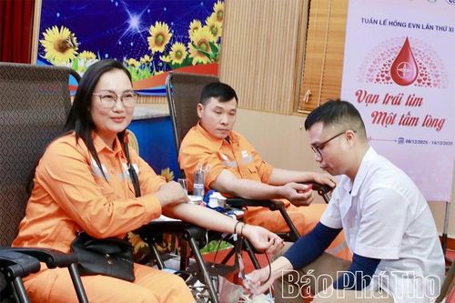 Hưởng ứng Tuần lễ hồng EVN lần thứ XI