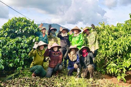 Gia Lai: Xây dựng nông thôn mới gắn với thúc đẩy phát triển công nghiệp nông thôn