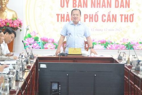 Cần Thơ tăng cường công tác quản lý, chỉnh trang đô thị