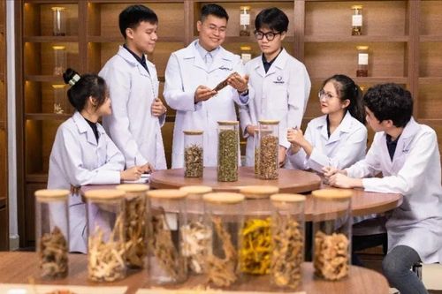 Tôn vinh di sản Ngự y, phát huy y học cổ truyền