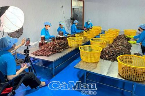 Mở rộng tiêu thụ sản phẩm OCOP trên nền tảng số
