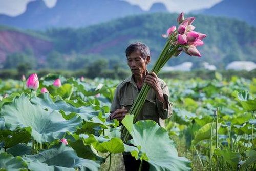 Nghiên cứu mô hình sinh kế mới, tạo nguồn thu nhập bền vững cho người dân
