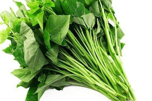 Loại rau giá rẻ và luôn có sẵn, bổ chẳng kém nhân sâm, giúp trường thọ nhưng người Việt ít ăn, chê nhạt vị
