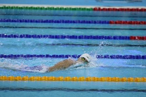 SEA Games 33: Kỳ vọng có thêm HCV ở các môn điền kinh, bơi, karate, judo và Thể dục dụng cụ