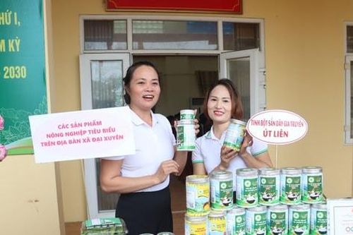 Thúc đẩy khởi nghiệp, giảm nghèo bền vững ở nông thôn Hà Nội
