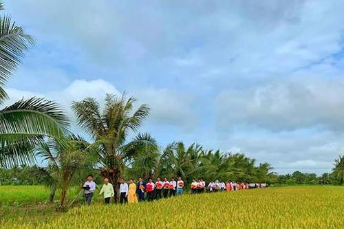 'Hái hoa dân chủ' trong đám cưới