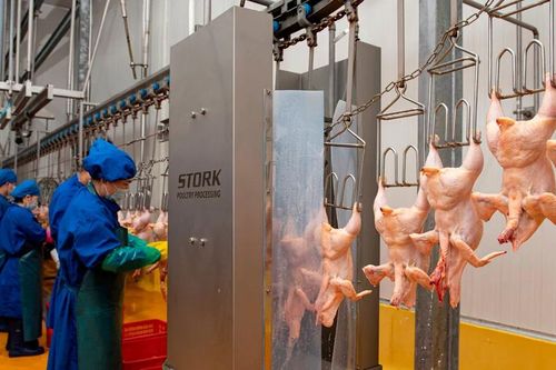 Hà Nội tổng kiểm tra các cơ sở giết mổ tại 126 xã, phường