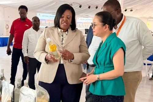 Mở ra nhiều cơ hội hợp tác giữa Việt Nam và tỉnh Gaza của Mozambique