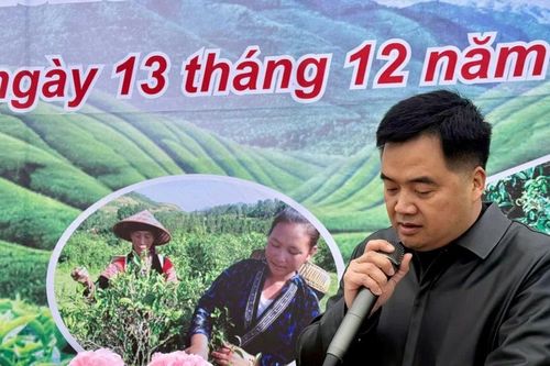 Sôi nổi ngày hội ra quân chăm sóc cây chè ở Sính Phình