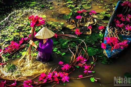 Mênh mang miền Tây mùa nước nổi