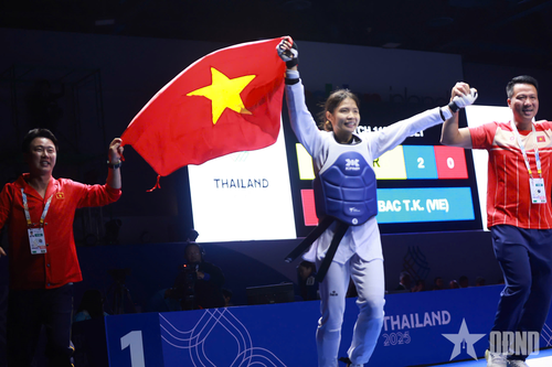 SEA Games 33: Taekwondo Việt Nam vượt chỉ tiêu huy chương vàng