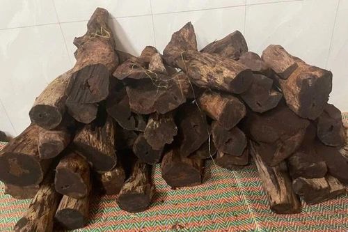 Loại gỗ 'vô danh' 3 triệu đồng/kg ở Quảng Trị đang gây sốt có gì đặc biệt?