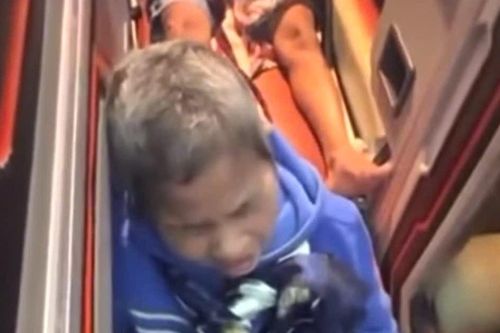 Xác minh clip 'người mẹ già khóc nức nở trên xe khách vì bị bỏ rơi'