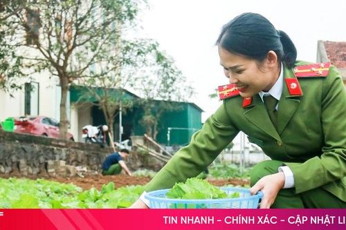 Xanh mướt những vườn rau thanh niên công an xã
