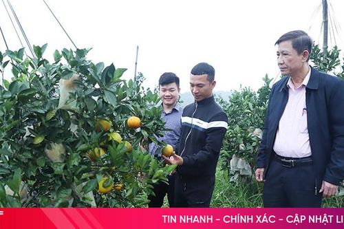 Vốn chính sách tiếp sức nâng tầm đặc sản địa phương