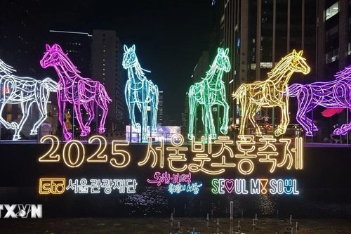 Hàn Quốc: Rực rỡ Lễ hội đèn lồng Seoul 2025
