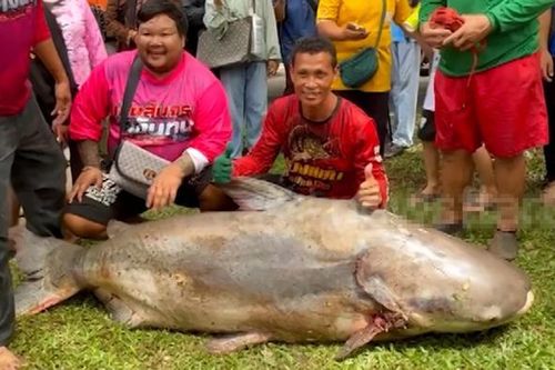 Người đàn ông bắt được 'thủy quái' nặng 200kg trên sông