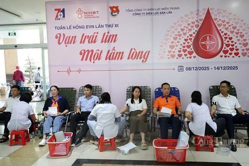 Đắk Lắk: Thu nhận 324 đơn vị máu từ Tuần lễ hồng EVN lần thứ XI