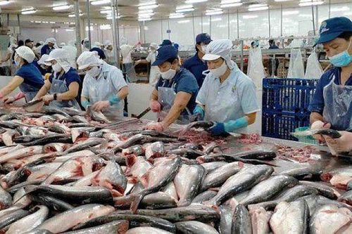 30 năm thương mại thủy sản Việt Nam - Hoa Kỳ: Từ thị trường mới nổi đến trụ cột xuất khẩu chiến lược