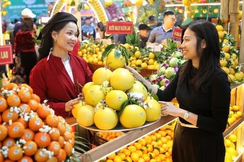 Lễ hội trái cây Bắc Ninh 2025: Gắn kết nông nghiệp với dịch vụ, du lịch